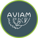 AVIAM_BEER