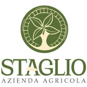 logo_staglio