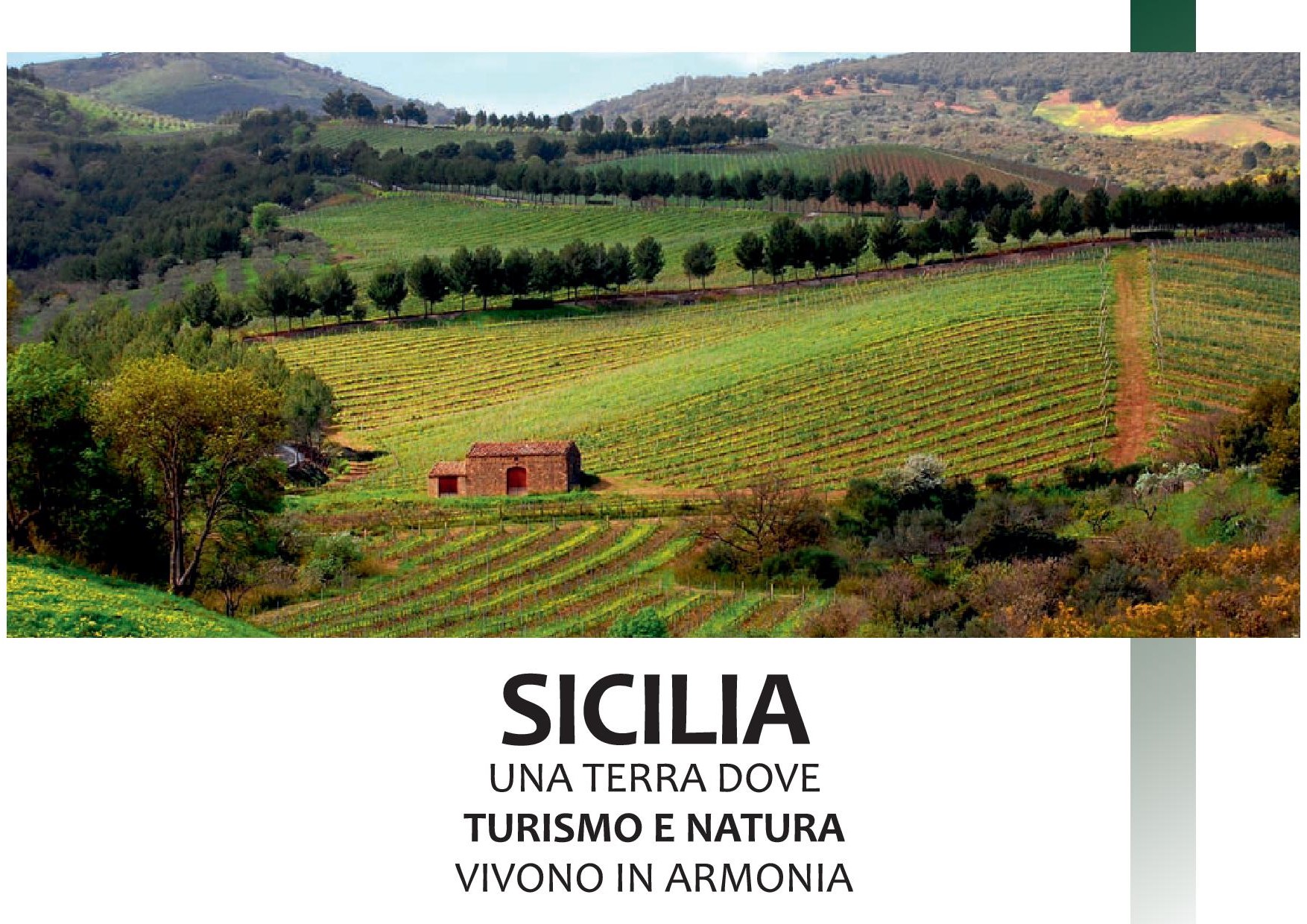 Turismo e Natura in Sicilia