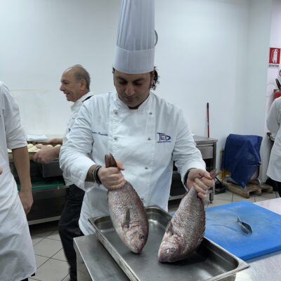 TED Formazione